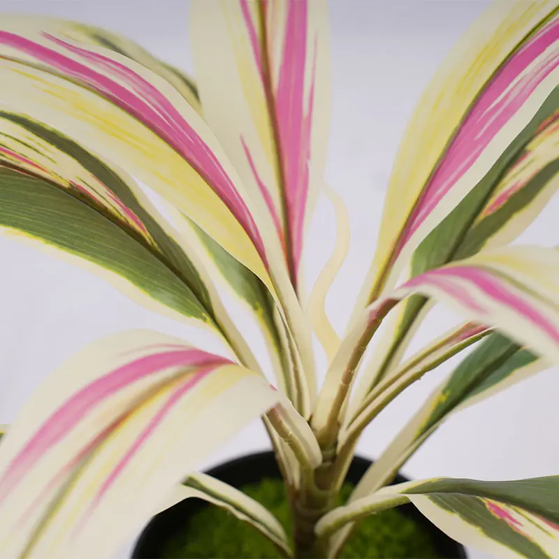 Product Advantage View