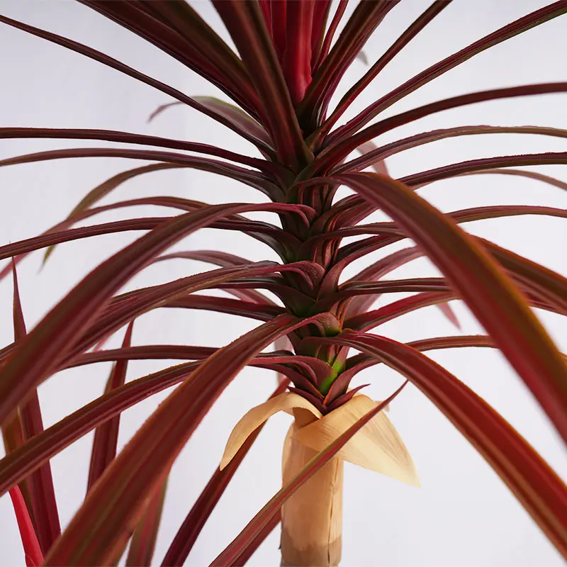 Wholesale Artificial plants H120cm Red Green Plastic Dracaena Single Pole 2 Heads 78 Leaves Potted Plant Indoor  Outdoor Decoration Manufacturer, Factories