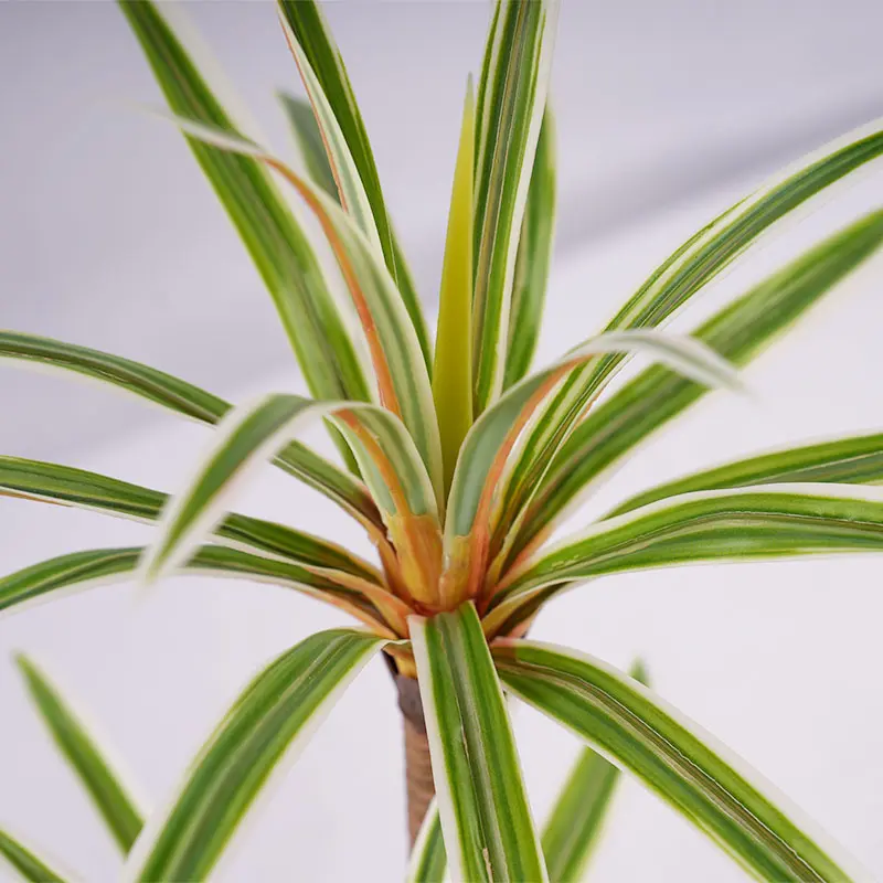 Wholesale H60cm Low Maintenance Dracaena marginata Artificial Plants tree  With Pot  for Modern Home and Office Interior Design