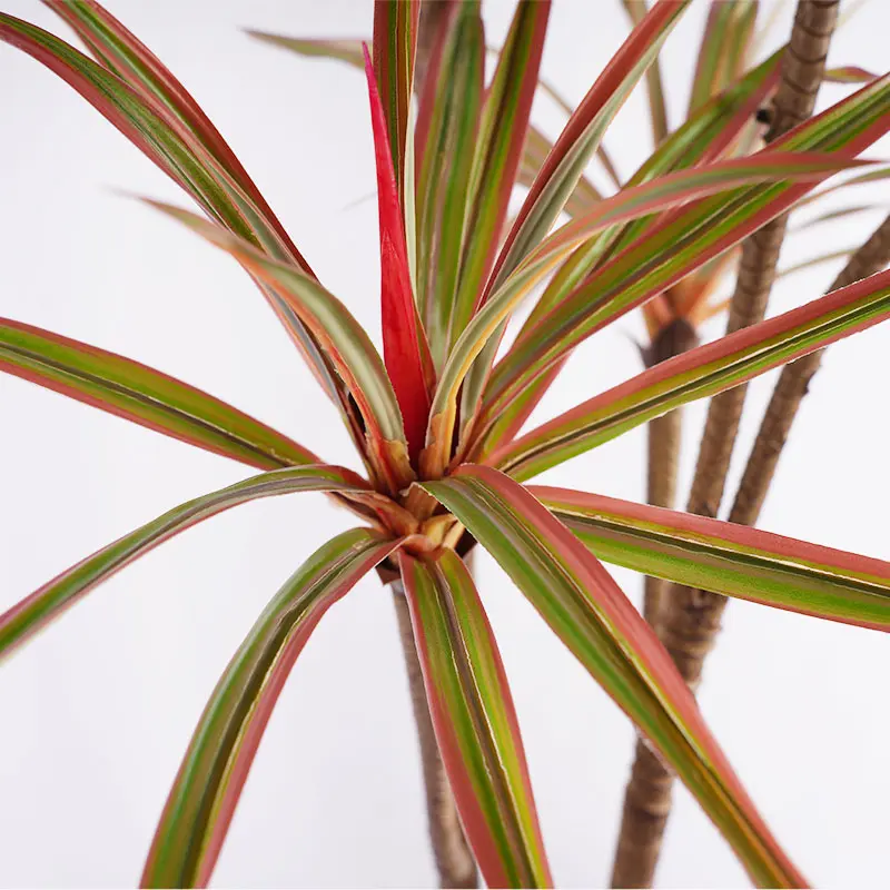 China Artificial Plants tree planting pot H185cm Potted Dracaena marginata PEVA Leaf 7 Stems and 162 Leaves Detachable Red and Green Aesthetic Room Decor Suppliers, Factories