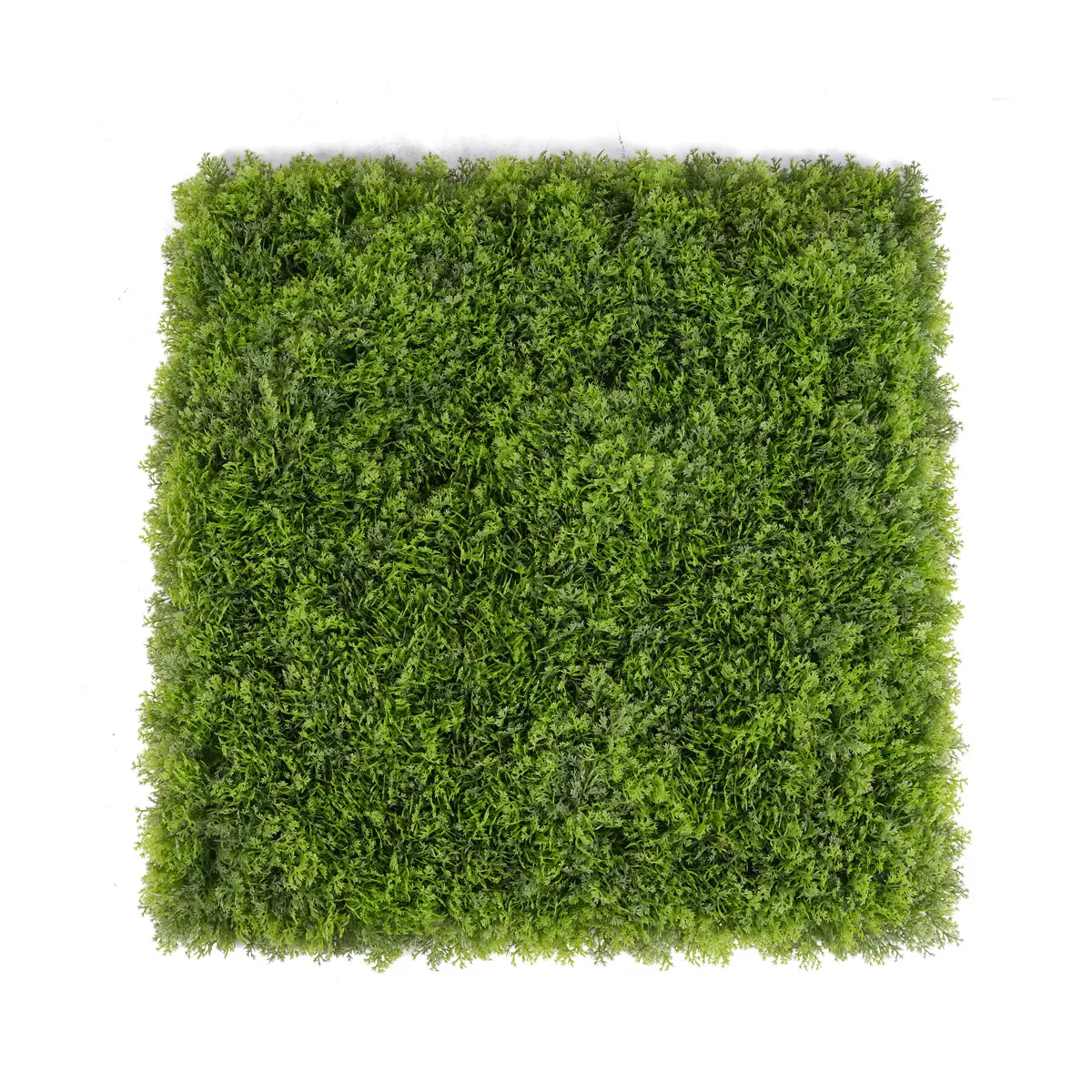 Wholesale UV Protective Anti-UV Foliage Boxwood Grass Fence Mat Panels 56*56cm Plastic Garden Ornaments Decor Green Wall Artificial Manufacturers, Supplier