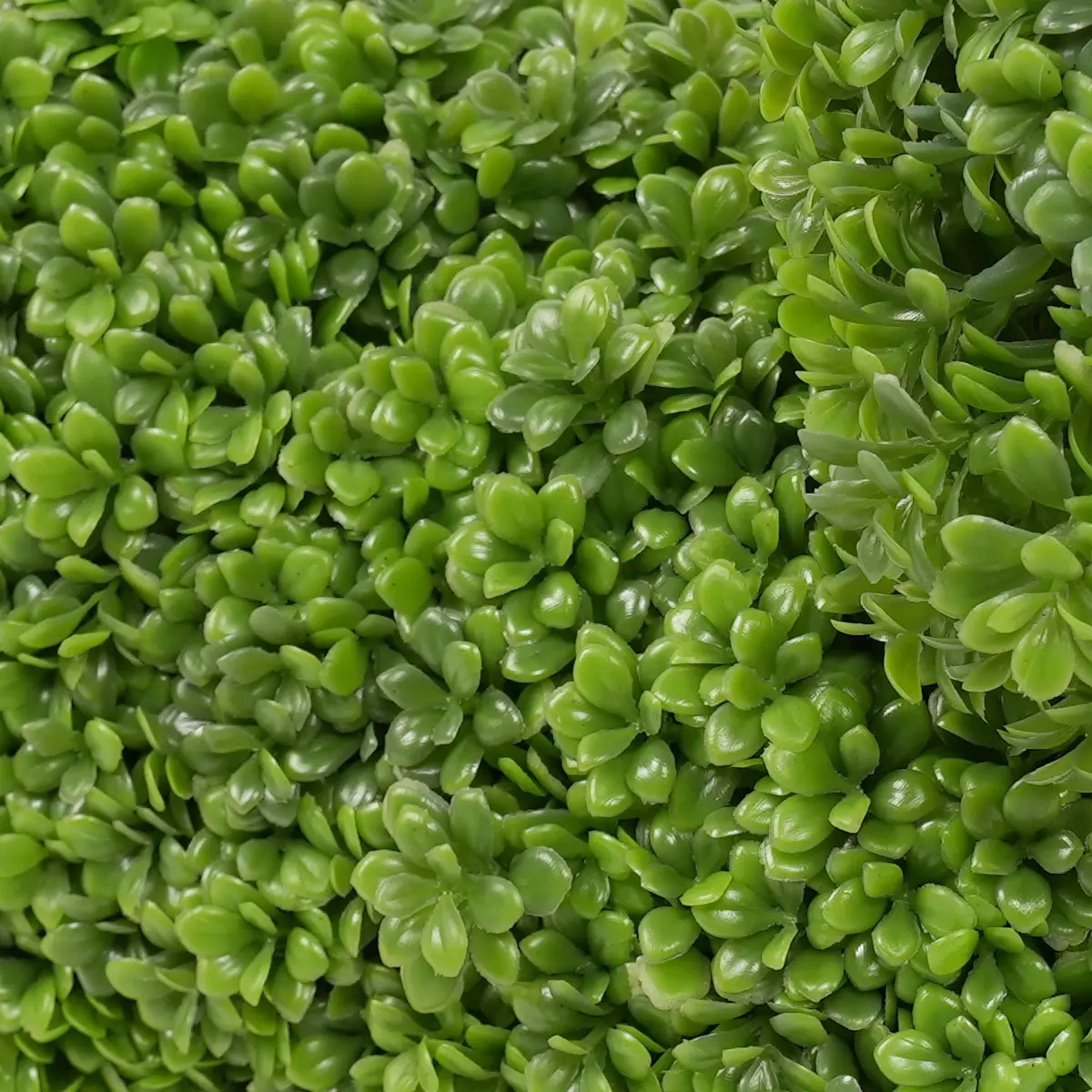 China Elegant 36cm Boxwood Dog Statue Adding Charm to Your Outdoor Space-Garden Ornament Manufacturers, Factory