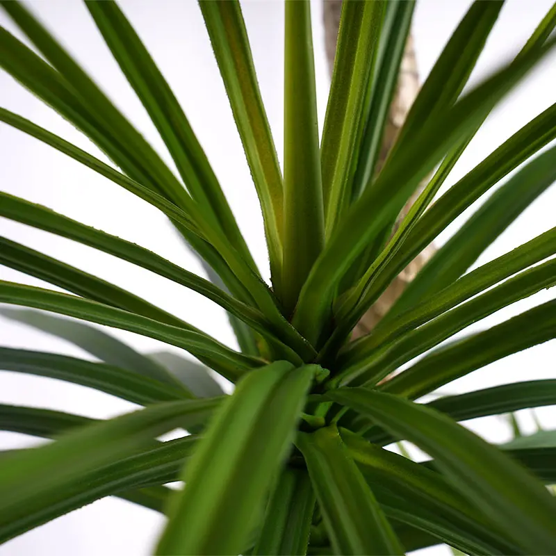 Wholesale Decorative plants H155cm Green Plastic Dracaena with Two Stems  Four Heads and 156 Leaves Potted Plant Suitable for Indoor and Outdoor Use Supplier, Factory