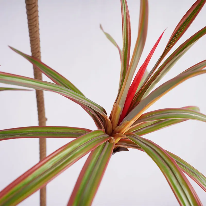 Wholesale Popular Artificial  Planting Pot Tree H150cm Potted Dracaena Marginata PEVA Leaf Detachable Balcony Garden Landscape Design Manufacturer, Manufacturers