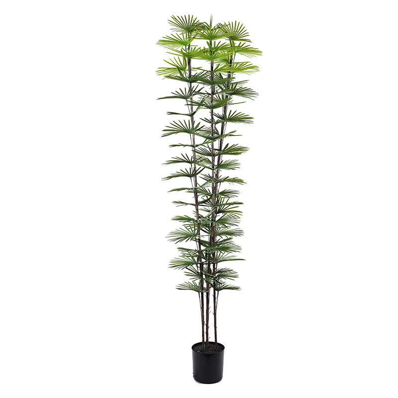 Wholesale Highly Realistic Plastic Fan Palm 210cm 3 Branches 59 Leaves Low Maintenance Decor Manufacturer, Suppliers