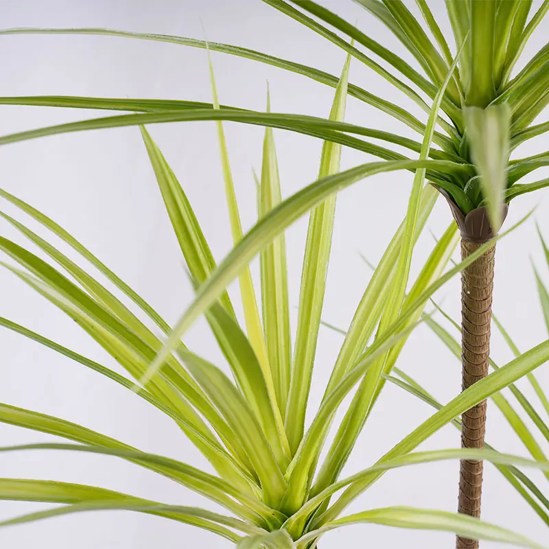 Wholesale Factory direct sales H120cm Detachable Artificial Dracaena Plant White Green 4 Stems 90 Leaves Potted Plastic Greenery Ideal Decor for Indoor and Outdoor Supplier, Suppliers