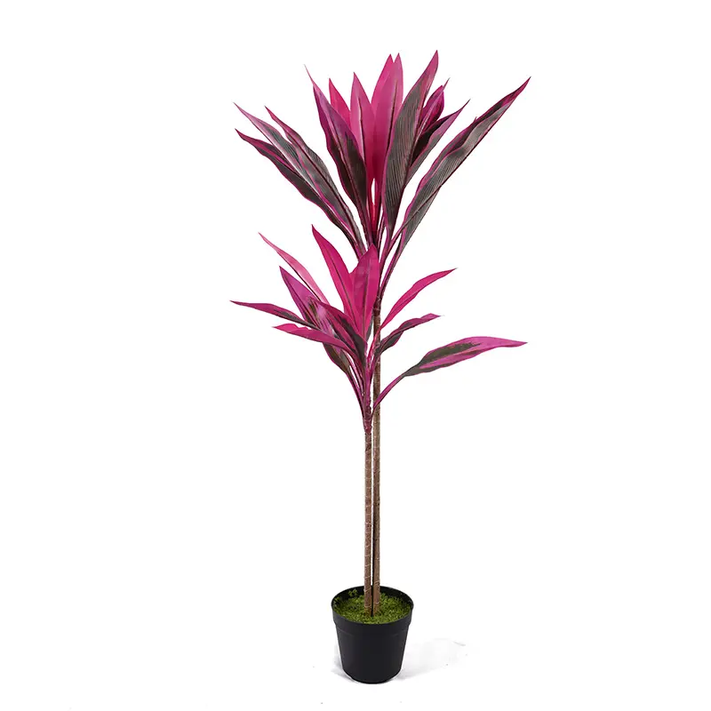 China H90cm Cordyline fruticosa leaves in pot Purple-green  simulated texture Suppliers, Factories