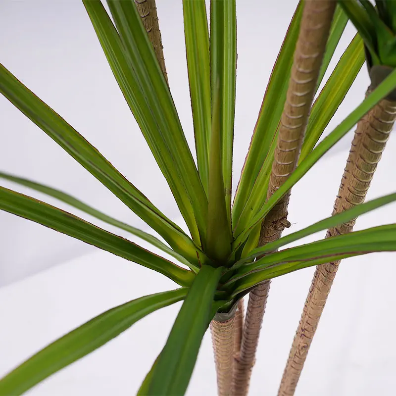 120cm detachable artificial Dracaena display