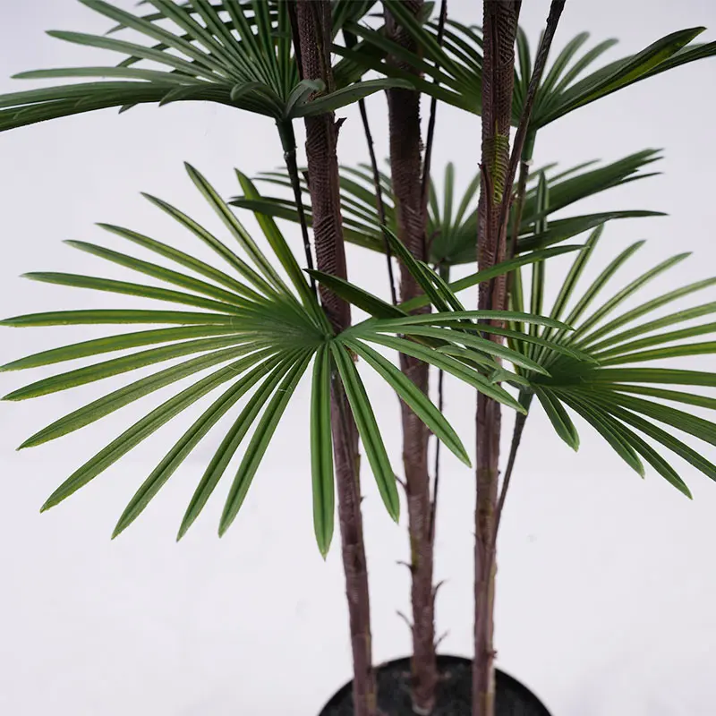 3-stem 37-leaf fan palm planter