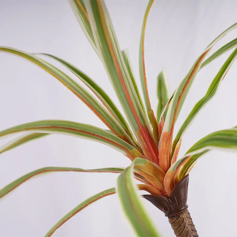 China Artificial Plants tree planting pot H185cm Potted Dracaena marginata PEVA Leaf 7 heads and 162 leaves detachable white and green natural ecology Supplier, Suppliers