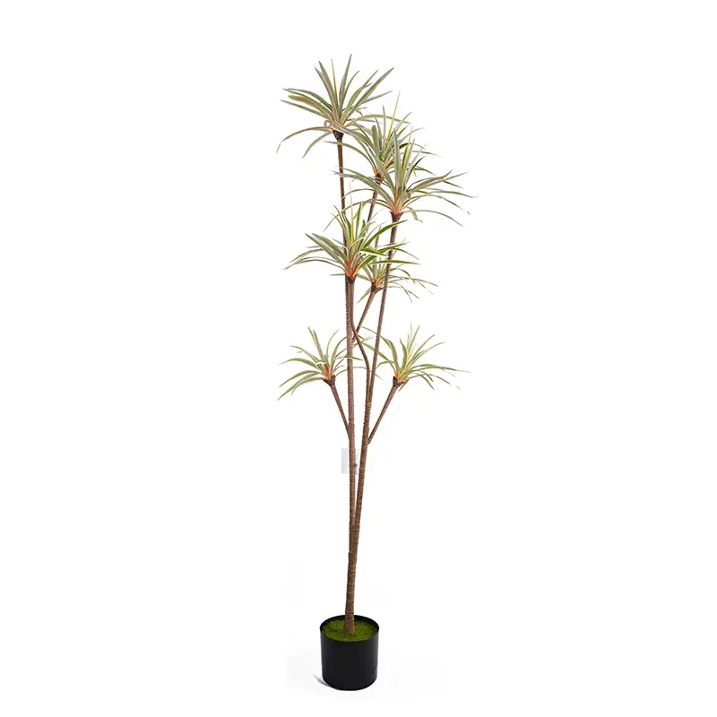 China Artificial Plants tree planting pot H185cm Potted Dracaena marginata PEVA Leaf 7 heads and 162 leaves detachable white and green natural ecology Supplier, Suppliers