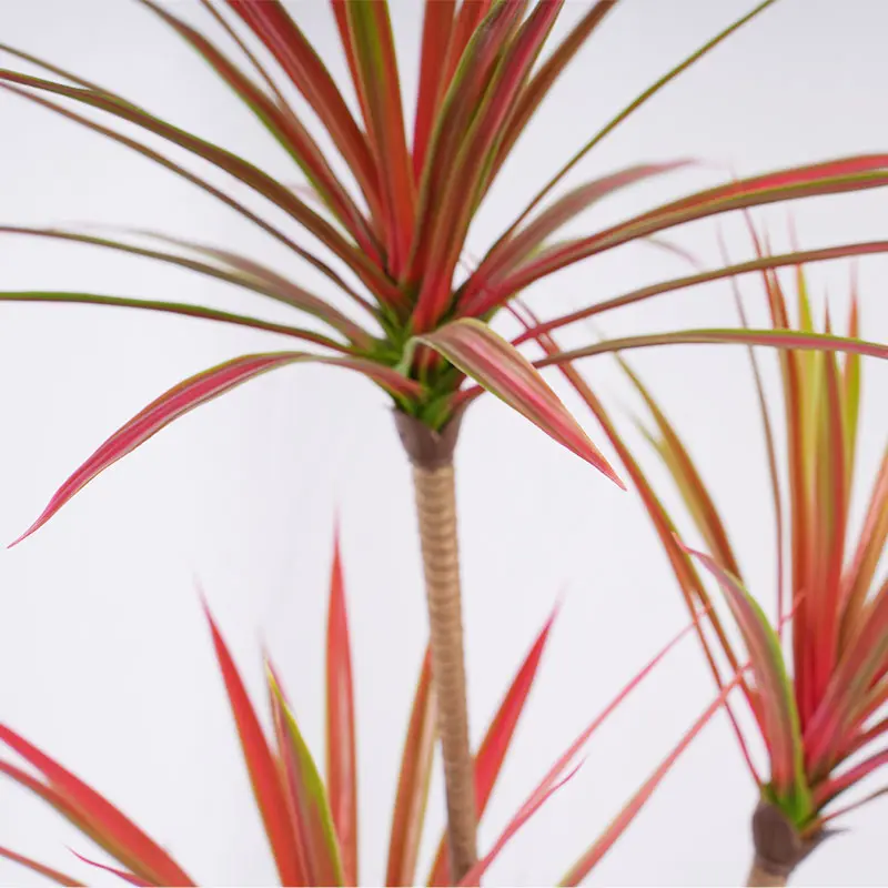 Wholesale Gardening plants H120cm Detachable Red Green Dracaena 4 Stems 90 Leaves Plastic Greenery Modern Space Decor Easy to Assemble Manufacturer, Supplier