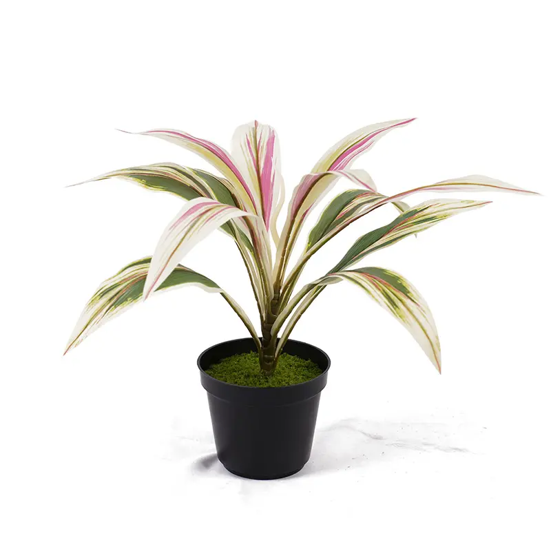 Wholesale Artificial green plants H40cm Cordyline fruticosa leaves in pot Pink yellow Gardening supplies Manufacturers, Factory