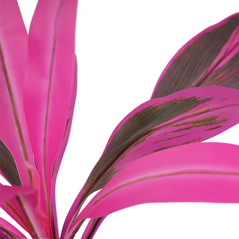 China Artificial green plants H50cm Cordyline fruticosa leaves in pot Purple green Hyper Realistic Manufacturers, Factories