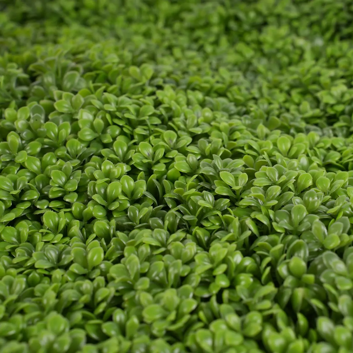 Wholesale UV Protective Anti--UV Foliage Artificial Boxwood Grass Fence Mat Panels Garden Ornaments Decor Green Wall Artificial Supplier, Factories