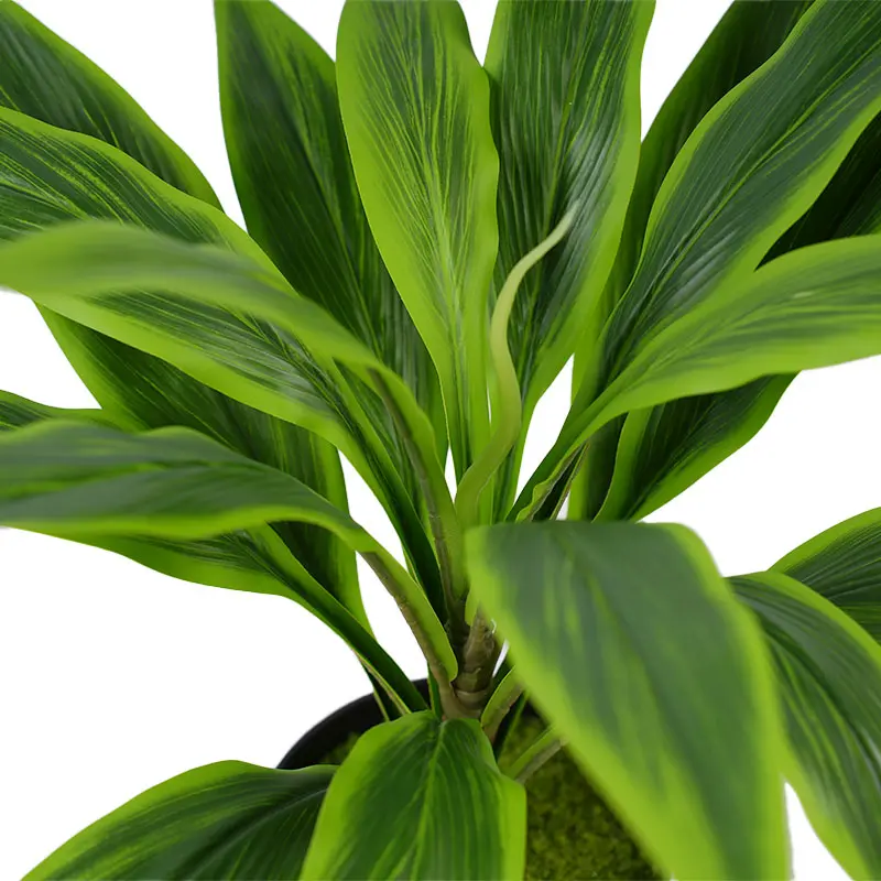 Wholesale Best Selling Artificial Plants H43cm Cordyline fruticosa leaves in pot Green  natural ecology Manufacturers, Factories
