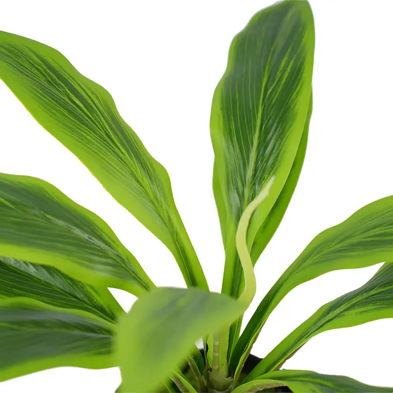 Wholesale Best Selling Artificial green plants H40cm Cordyline fruticosa leaves in pot Green Gardening supplies for Commercial Use Manufacturers, Supplier