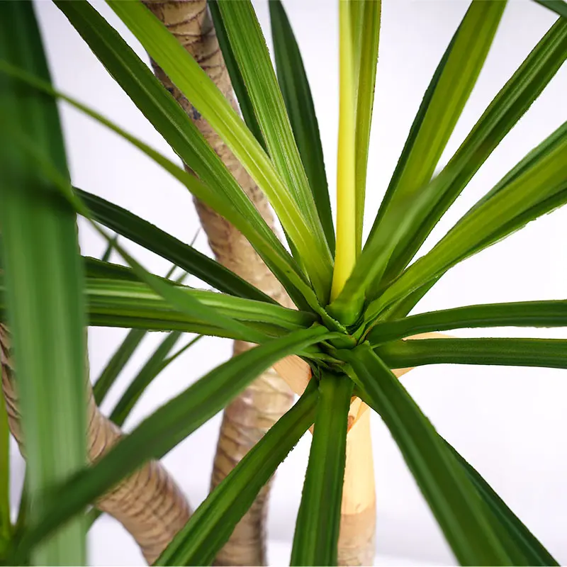 Wholesale Decorative plants H155cm Green Plastic Dracaena with Two Stems  Four Heads and 156 Leaves Potted Plant Suitable for Indoor and Outdoor Use Supplier, Factory