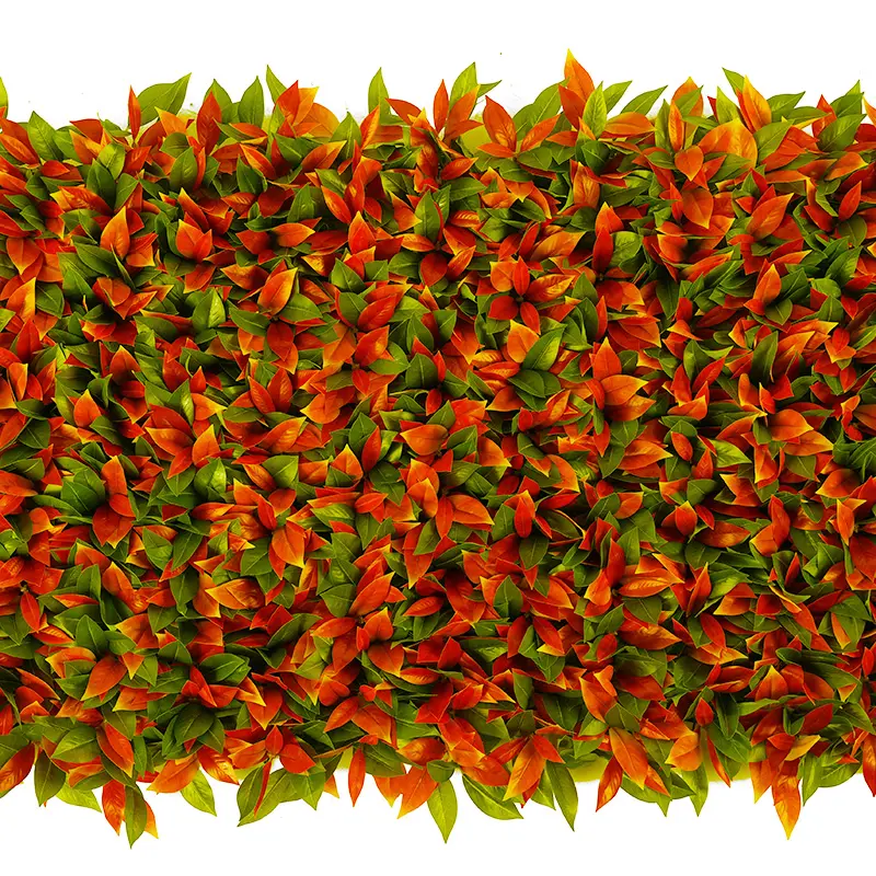 Retractable Photinia Leaf Hedge