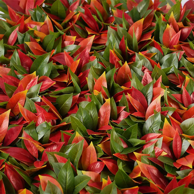Wholesale Friendly Retractable Photinia Hedge H120cm 1310 Leaves Outdoor Decoration