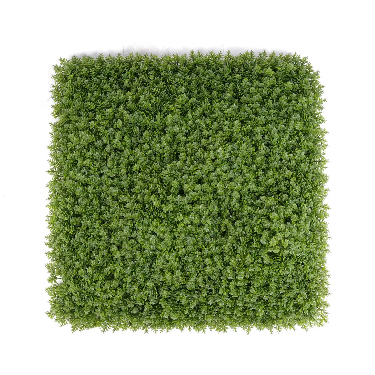 Wholesale UV Protective Anti--UV Foliage Artificial Boxwood Grass Fence Mat Panels 62*62cm Garden Ornaments Decor Green Wall Artificial Supplier, Factory