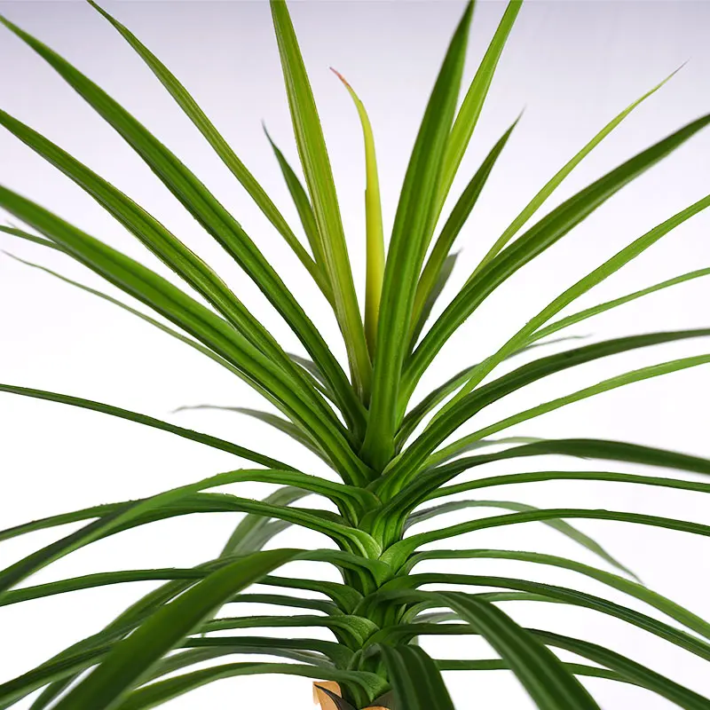 Artificial Dracaena Detail 2