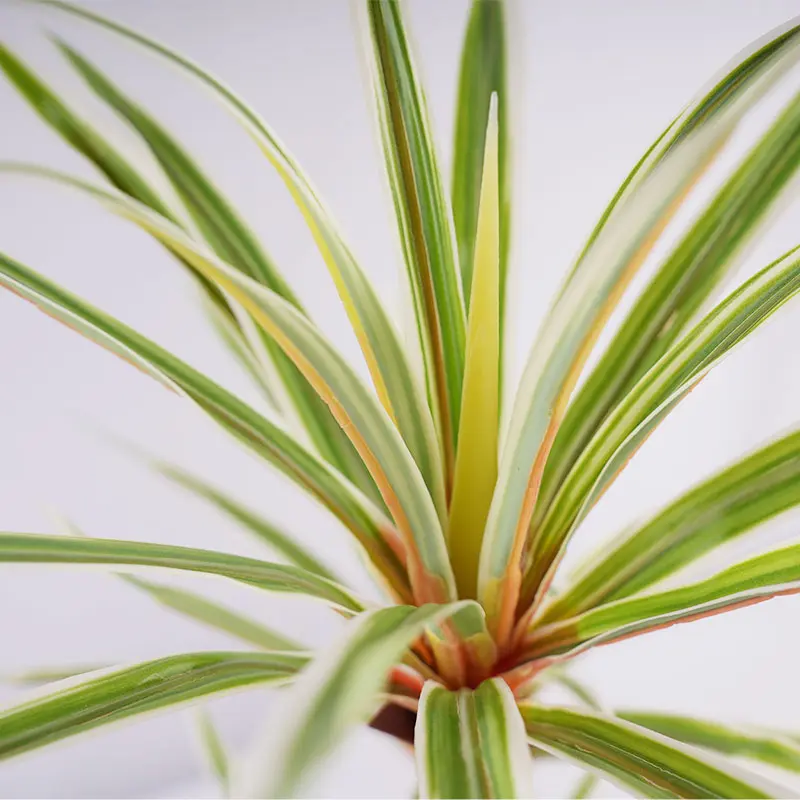 Wholesale Customization Available Artificial Plants Tree H90cm Dracaena marginata Planting Pot 3 Stems and 45 Leaves Green Home Office Decor Suppliers, Factories