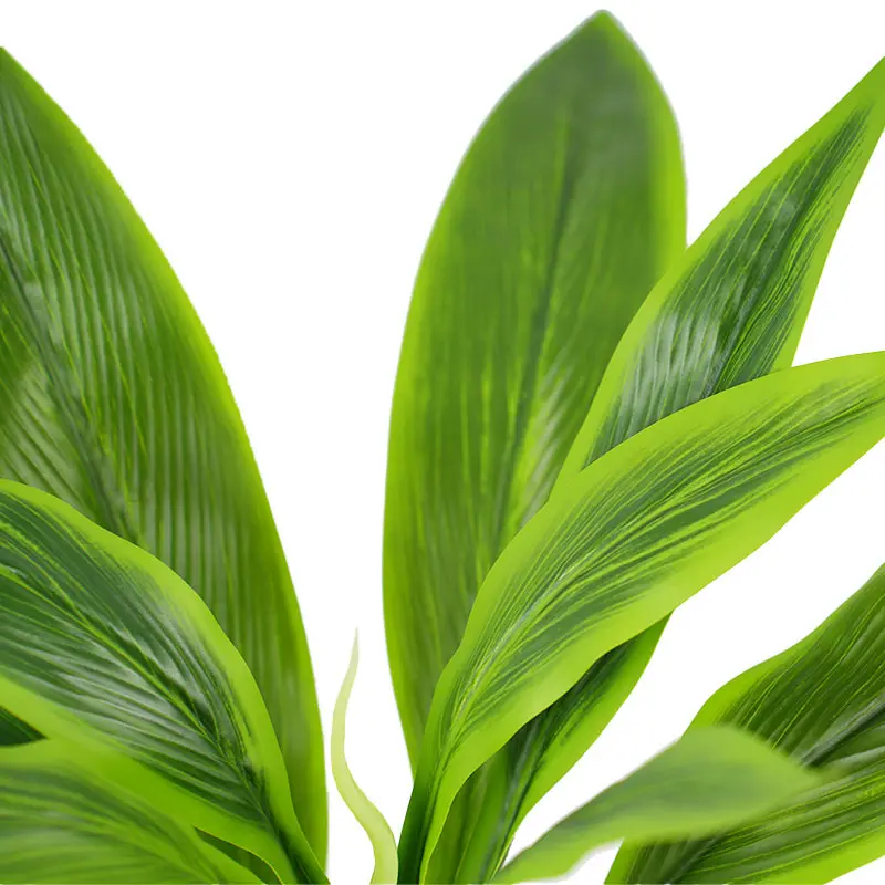 China  Factory made H50cm Cordyline fruticosa leaves in pot Green Indoor and outdoor decoration Manufacturer, Manufacturers
