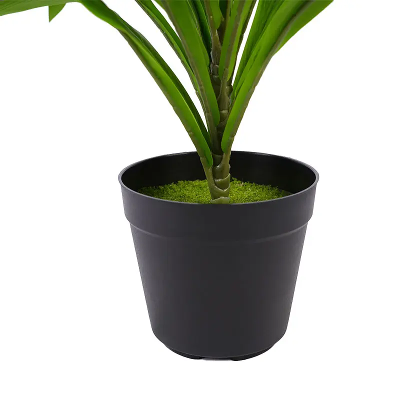 Green Cordyline Potted Plant Decoration