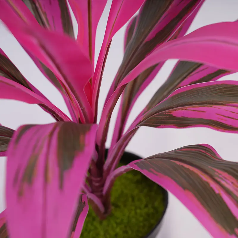 Wholesale Factory direct sales H43cm Cordyline fruticosa leaves in pot Purple green healing style Supplier, Factories