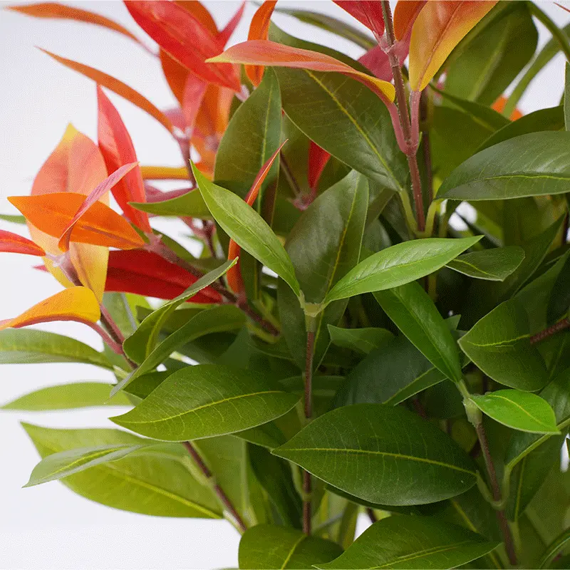 China High Quality H43cm Red and Green Bonsai Waterproof Durable Artificial Plant for Home or Hotel Decoration Manufacturer, Suppliers