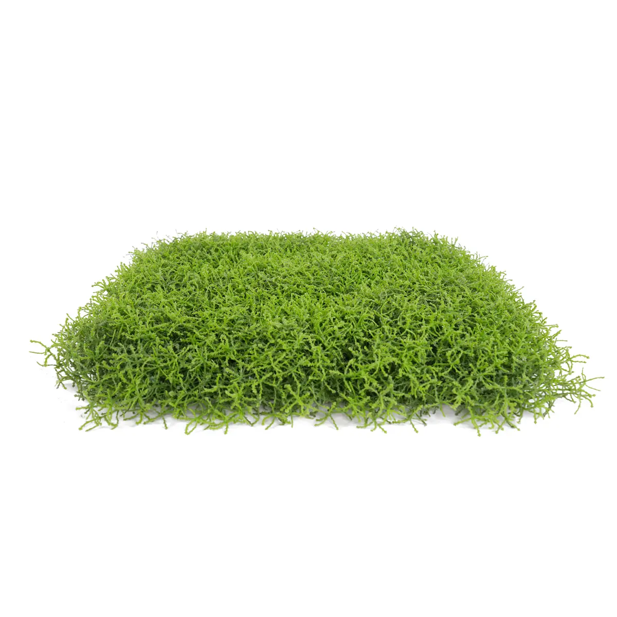 China UV Protective 62*62cm Boxwood Grass Fence Mat Panels Anti-UV Artificial Foliage for Garden Ornaments Decor Green Wall Decorative Manufacturer, Manufacturers
