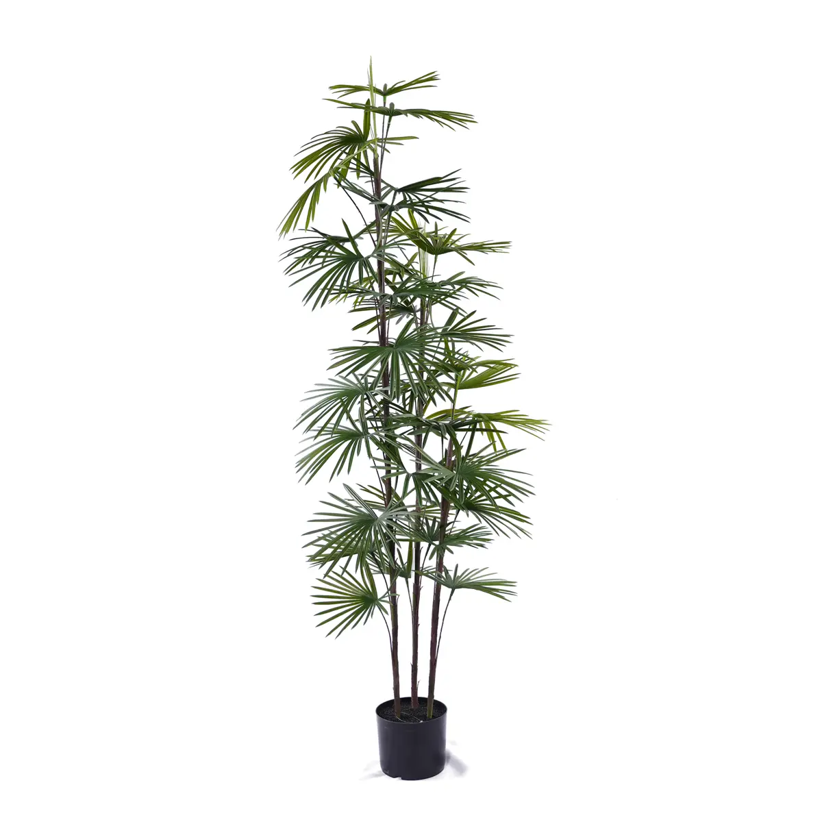 China Hot Selling Artificial Kwai Tree Plastic Plant Bonsai Tree for Indoor and Outdoor Decoration H90cm Plastic Fan Sunflower Seed Manufacturer, Manufacturers
