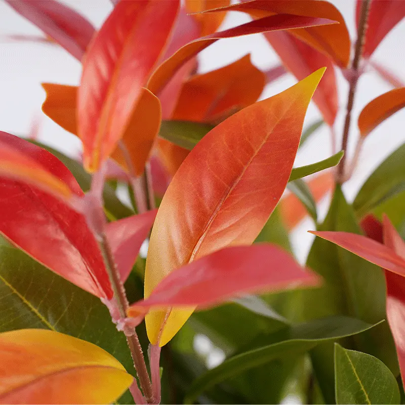 China High Quality H43cm Red and Green Bonsai Waterproof Durable Artificial Plant for Home or Hotel Decoration Manufacturer, Suppliers