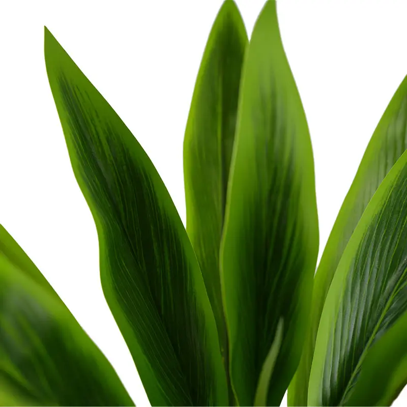 China Environmentally friendly green plants H90cm Cordyline fruticosa leaves in pot Green lighthearted and cheerful style Manufacturers, Suppliers