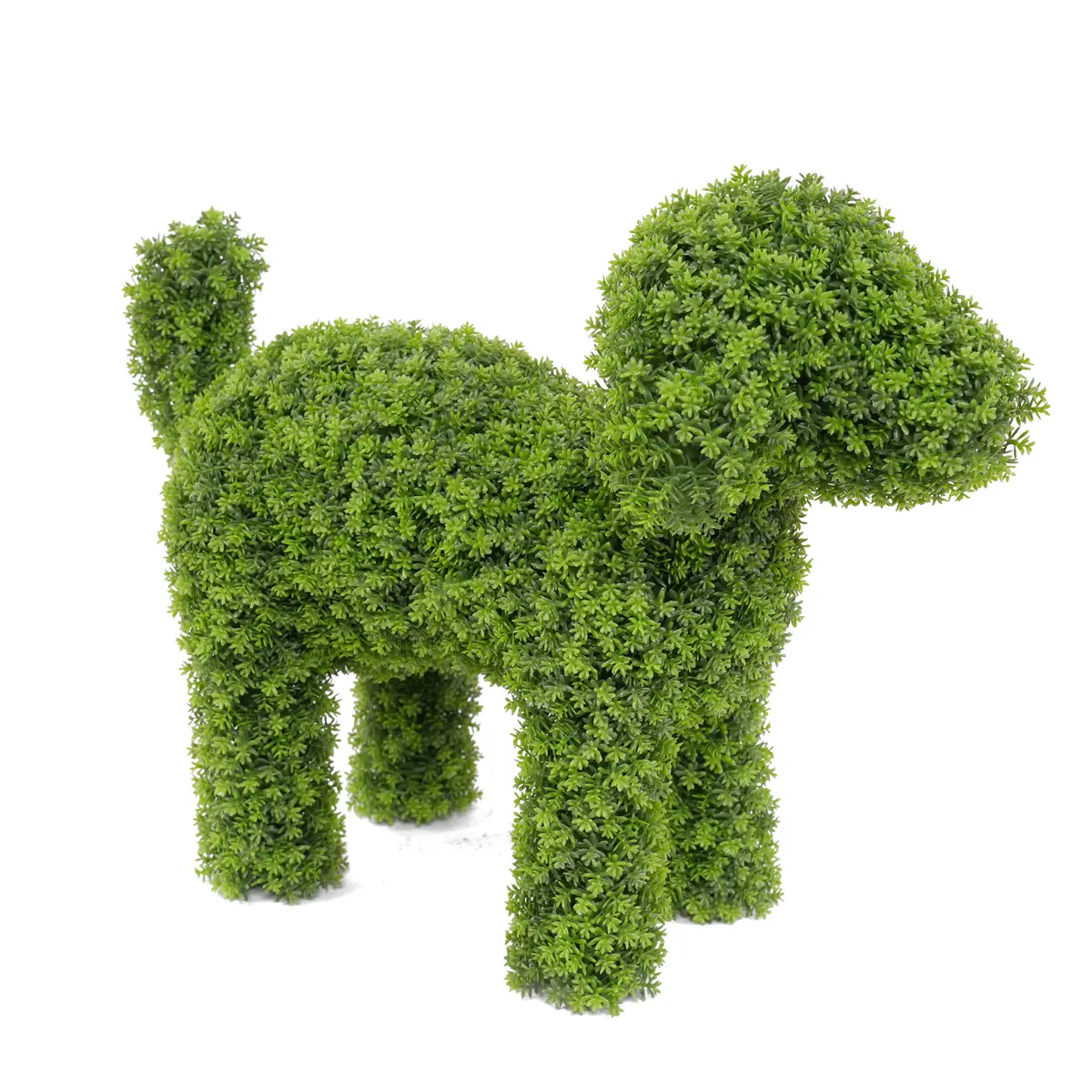China Elegant 36cm Boxwood Dog Statue Outdoor Space-Garden Ornament Made of Durable Plastic Manufacturers, Factories