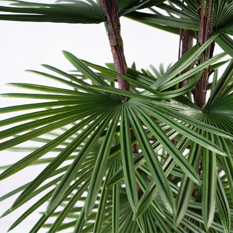 Wholesale Highly Realistic Plastic Fan Palm 210cm 3 Branches 59 Leaves Low Maintenance Decor Manufacturer, Suppliers