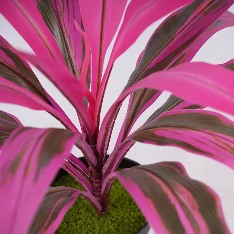 Wholesale Factory direct sales H43cm Cordyline fruticosa leaves in pot Purple green healing style Supplier, Factories