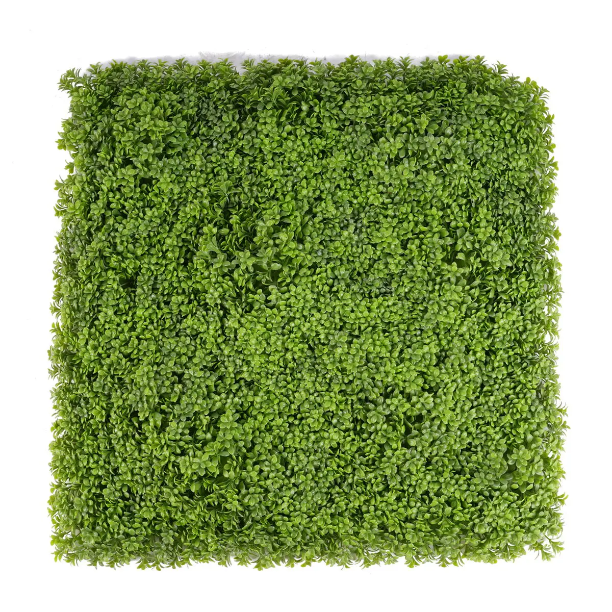 Wholesale UV Protective Anti--UV Foliage Artificial Boxwood Grass Fence Mat Panels Garden Ornaments Decor Green Wall Artificial Supplier, Factories
