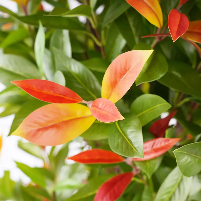 Artificial Photinia Leaves Detail