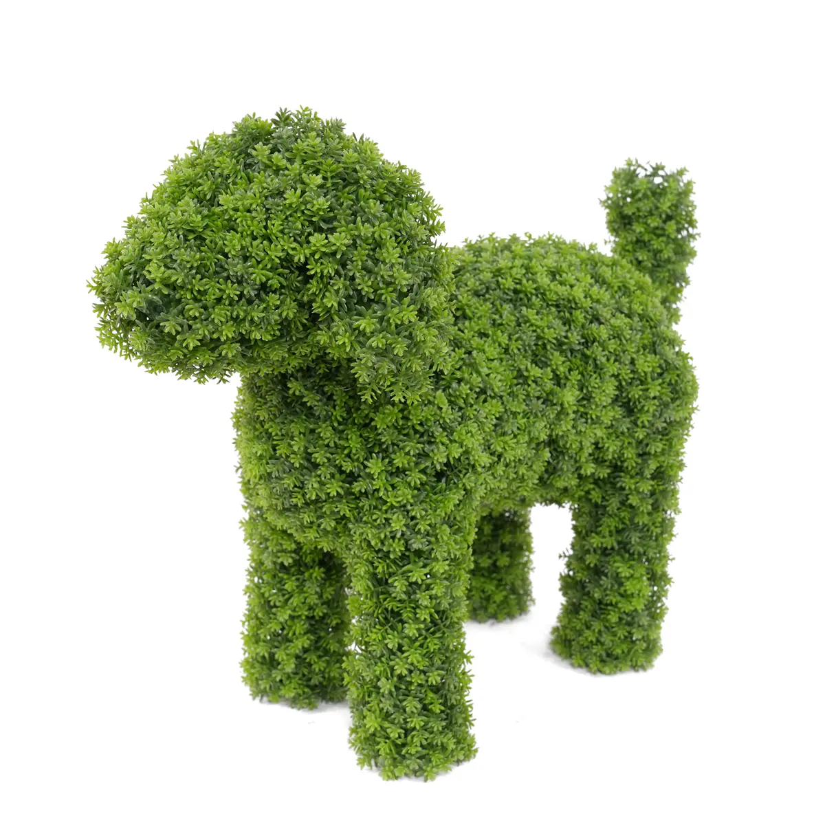 China Elegant 36cm Boxwood Dog Statue Outdoor Space-Garden Ornament Made of Durable Plastic Manufacturers, Factories