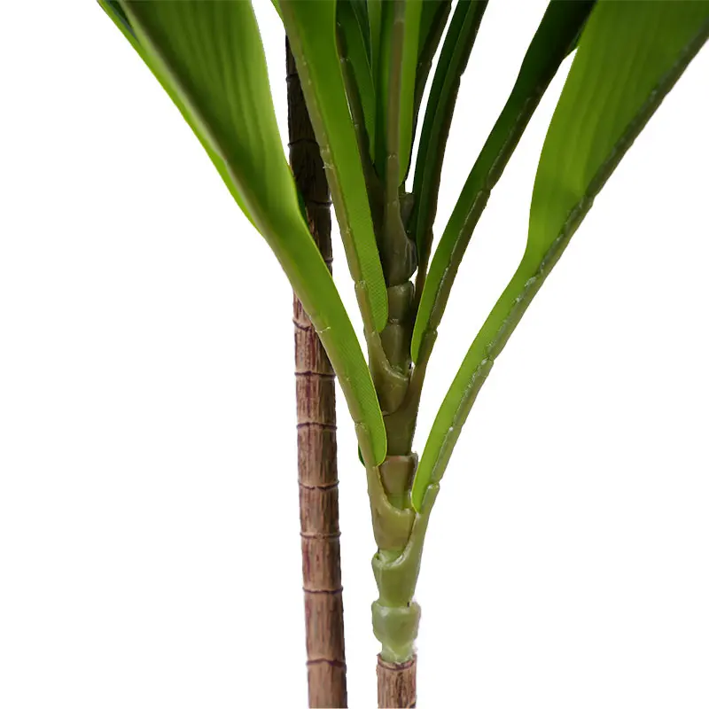 China Environmentally friendly green plants H90cm Cordyline fruticosa leaves in pot Green lighthearted and cheerful style Manufacturers, Suppliers
