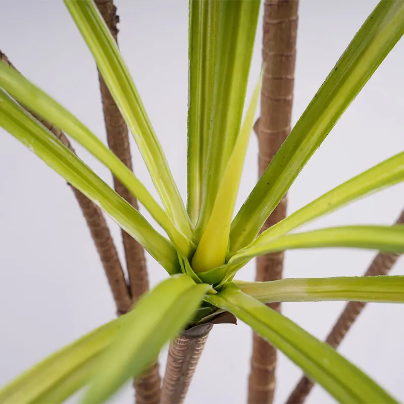 China Hot selling H185cm Plastic Dracaena 7 Heads 162 White Green Leaves in Pot Detachable Space Decoration Focus Supplier, Factories