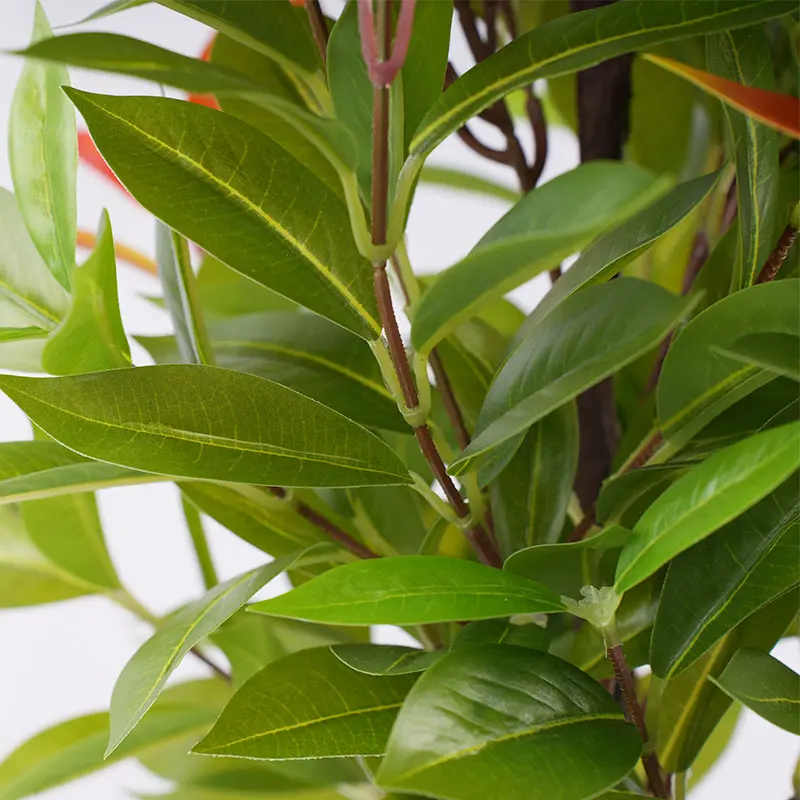 China Factory Direct Sale H90cm High Simulation Artificial Photinia Plastic Planter for Indoor Outdoor Durable Decor Manufacturer, Suppliers