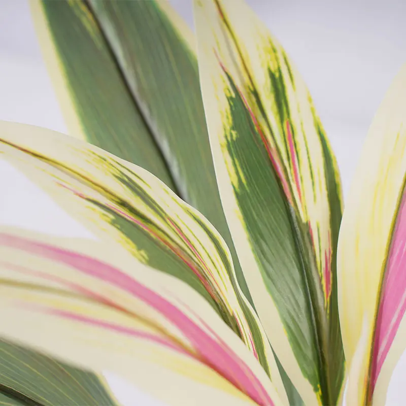 Wholesale Faux Potted Plant H50cm Cordyline fruticosa leaves in pot Pink yellow Low Maintenance Manufacturer, Factories