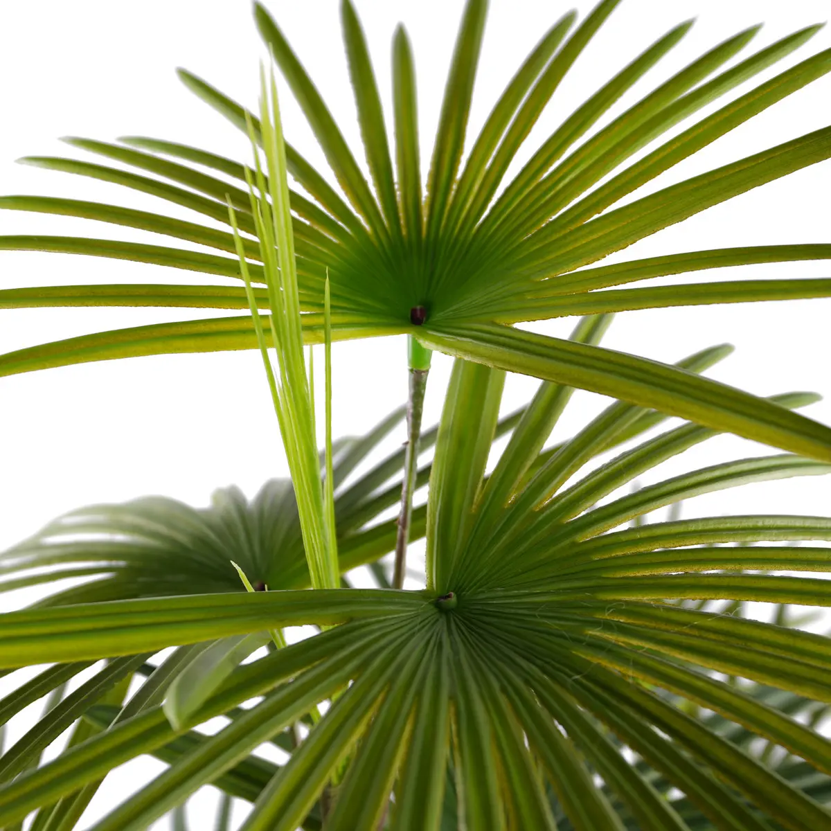 China Hot Selling Artificial Kwai Tree Plastic Plant Bonsai Tree for Indoor and Outdoor Decoration H90cm Plastic Fan Sunflower Seed Manufacturer, Manufacturers