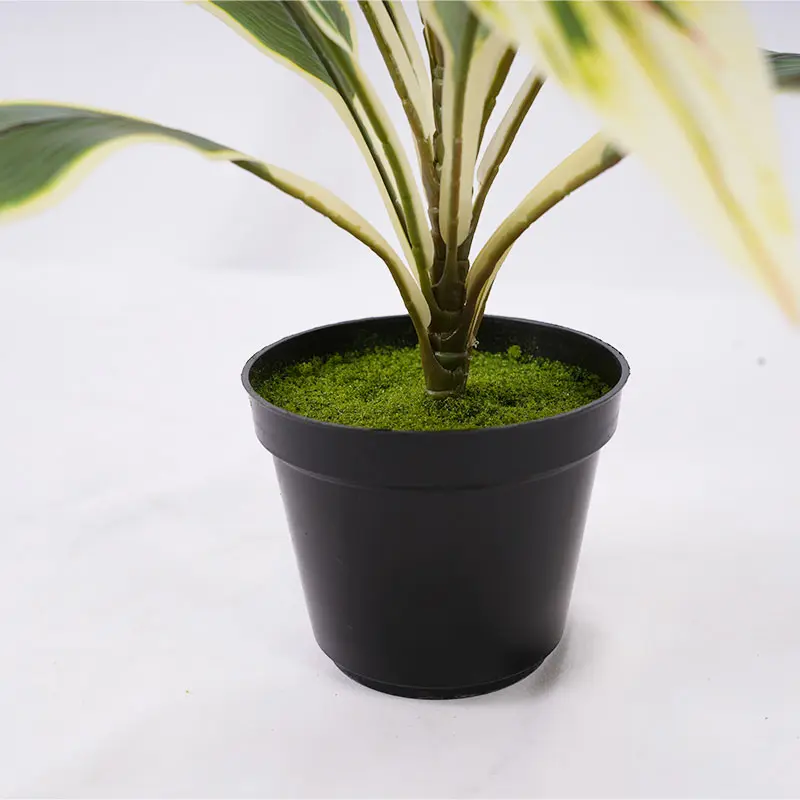 China High quality artificial green H43cm Cordyline fruticosa leaves in pot Pink yellow home decoration Supplier, Factory