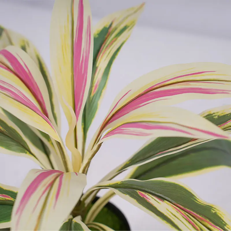 China High quality artificial green H43cm Cordyline fruticosa leaves in pot Pink yellow home decoration Supplier, Factory