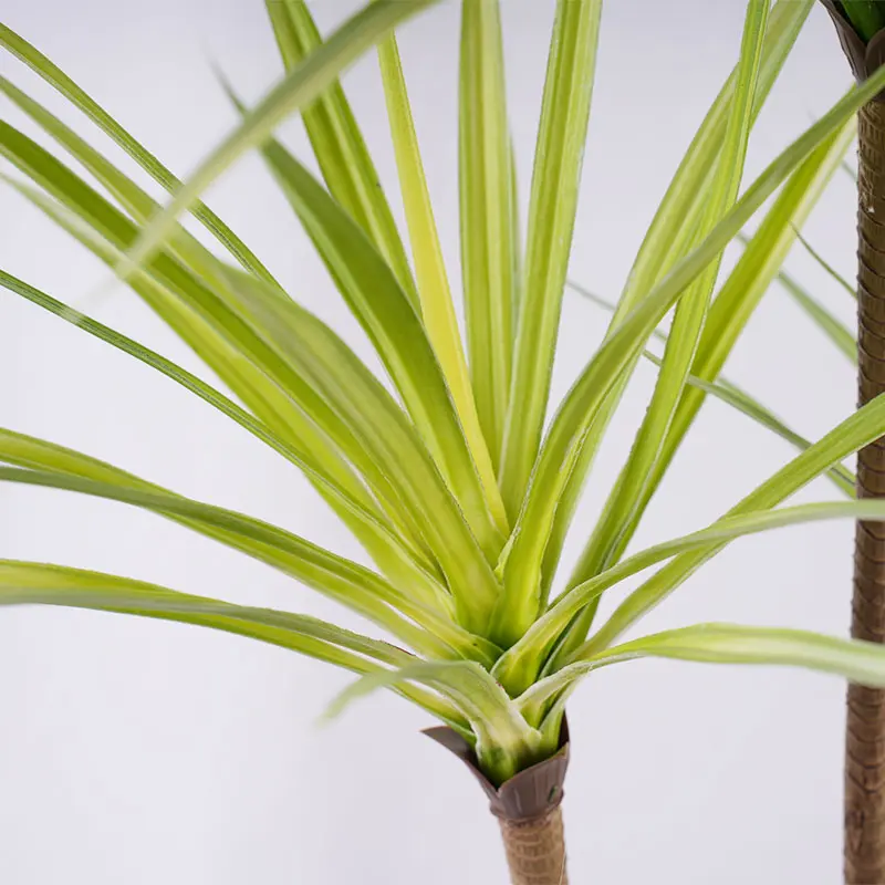 Wholesale Factory direct sales H120cm Detachable Artificial Dracaena Plant White Green 4 Stems 90 Leaves Potted Plastic Greenery Ideal Decor for Indoor and Outdoor Supplier, Suppliers