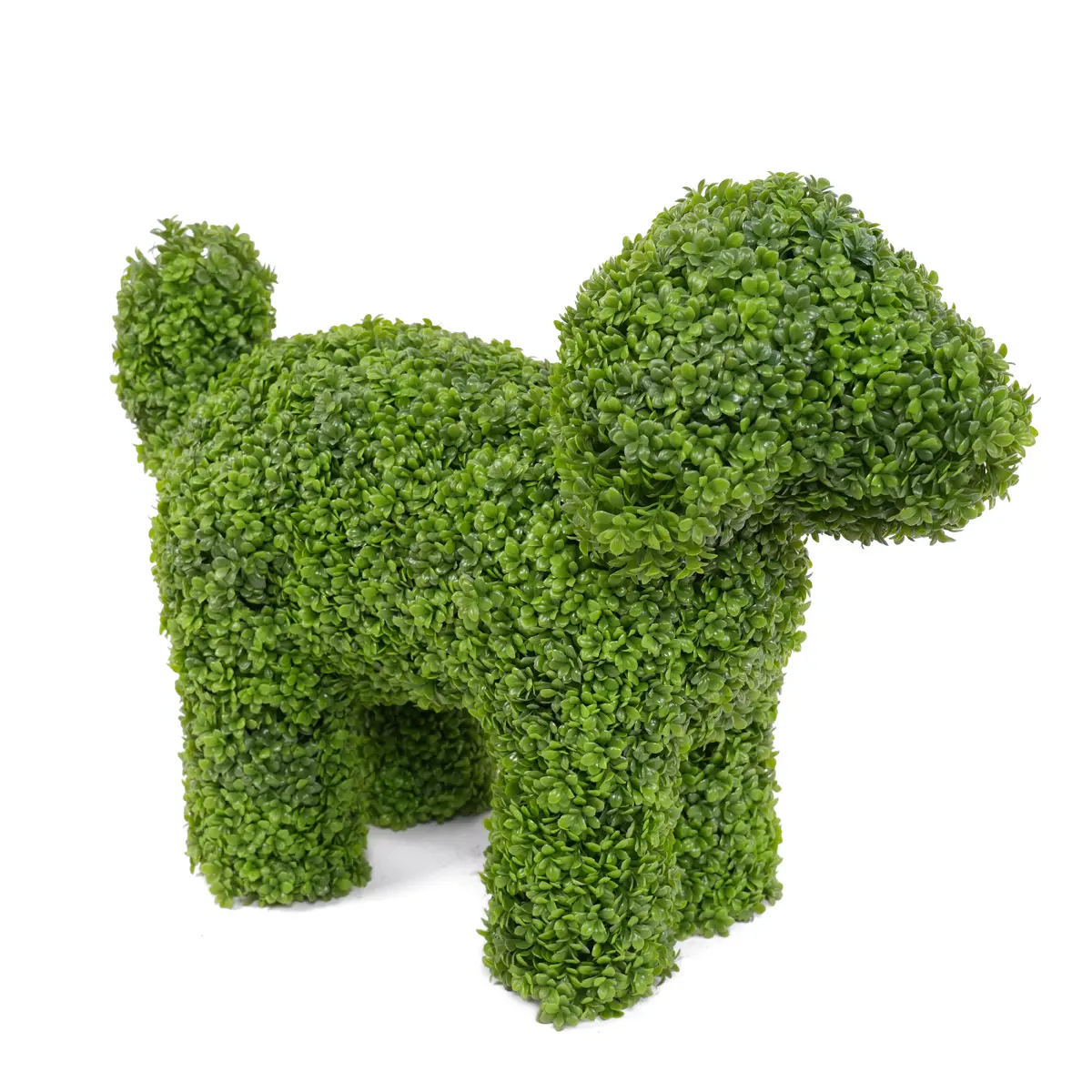 China Elegant 36cm Boxwood Dog Statue Adding Charm to Your Outdoor Space-Garden Ornament Manufacturers, Factory